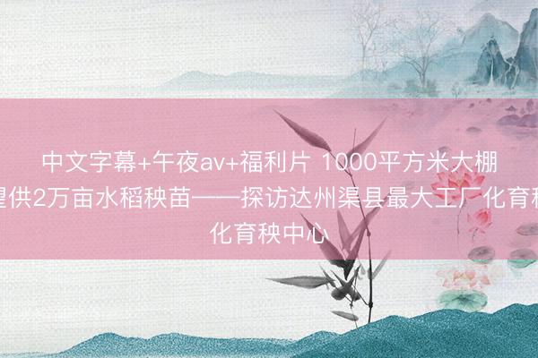 中文字幕+午夜av+福利片 1000平方米大棚，有望供2万亩水稻秧苗——探访达州渠县最大工厂化育秧中心
