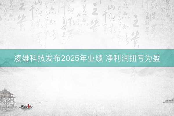凌雄科技发布2025年业绩 净利润扭亏为盈