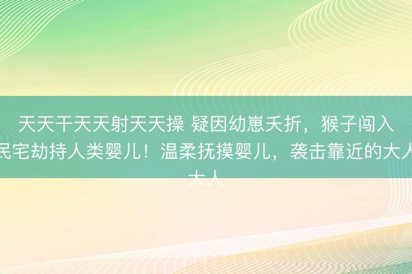 天天干天天射天天操 疑因幼崽夭折，猴子闯入民宅劫持人类婴儿！温柔抚摸婴儿，袭击靠近的大人