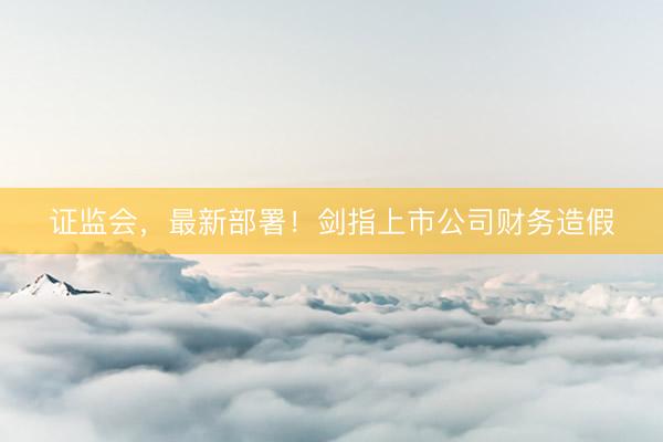 证监会，最新部署！剑指上市公司财务造假