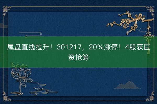 尾盘直线拉升！301217，20%涨停！4股获巨资抢筹