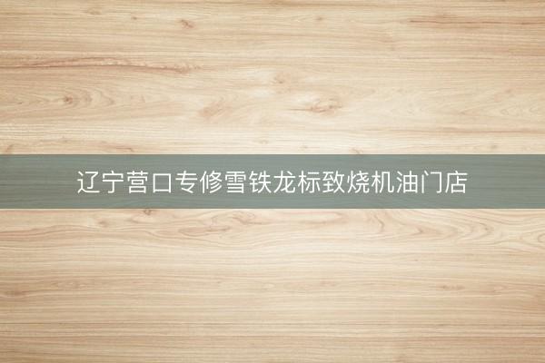 辽宁营口专修雪铁龙标致烧机油门店