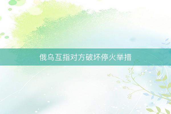 俄乌互指对方破坏停火举措