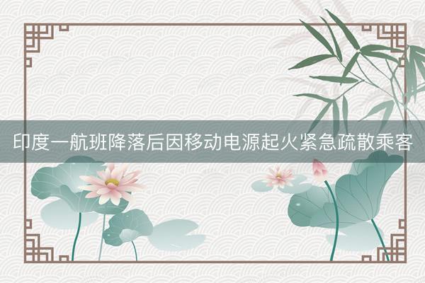 印度一航班降落后因移动电源起火紧急疏散乘客