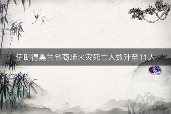 伊朗德黑兰省商场火灾死亡人数升至11人