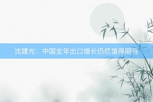 沈建光：中国全年出口增长仍然值得期待