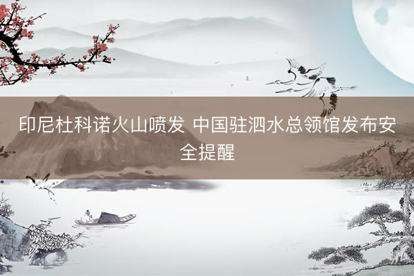 印尼杜科诺火山喷发 中国驻泗水总领馆发布安全提醒