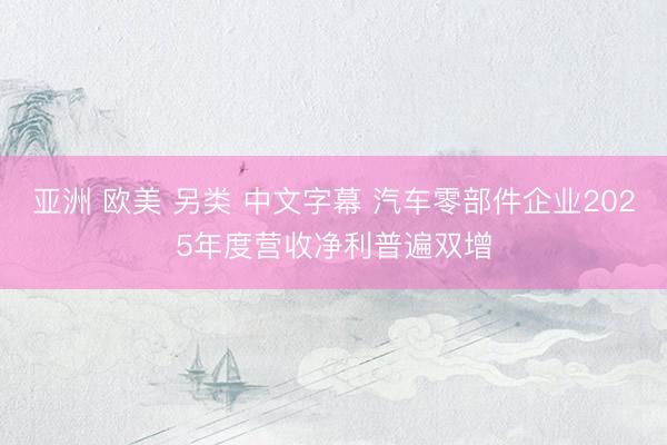亚洲 欧美 另类 中文字幕 汽车零部件企业2025年度营收净利普遍双增