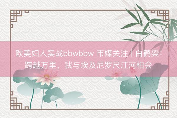 欧美妇人实战bbwbbw 市媒关注 | 白鹤梁：跨越万里，我与埃及尼罗尺江河相会
