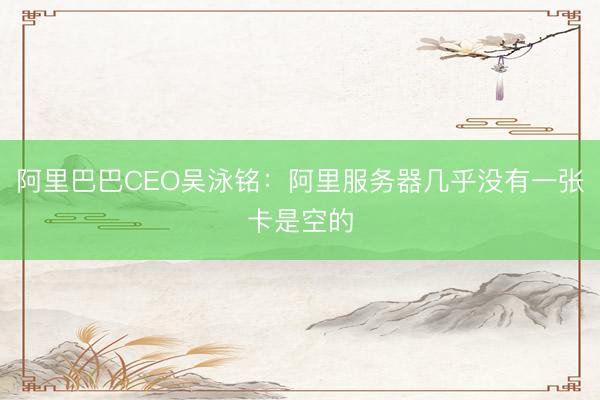 阿里巴巴CEO吴泳铭：阿里服务器几乎没有一张卡是空的