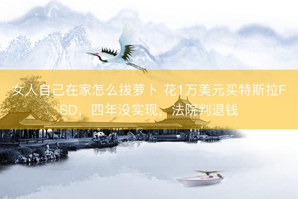 女人自己在家怎么拔萝卜 花1万美元买特斯拉FSD，四年没实现，法院判退钱