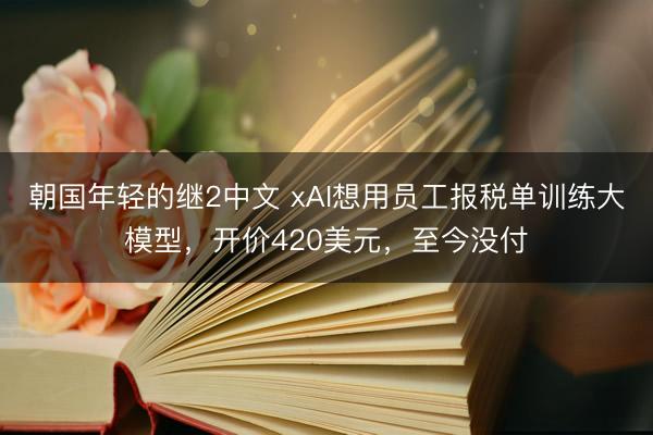 朝国年轻的继2中文 xAI想用员工报税单训练大模型，开价420美元，至今没付