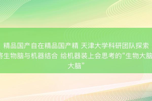 精品国产自在精品国产精 天津大学科研团队探索将生物脑与机器结合 给机器装上会思考的“生物大脑”