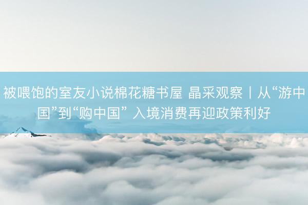 被喂饱的室友小说棉花糖书屋 晶采观察丨从“游中国”到“购中国” 入境消费再迎政策利好