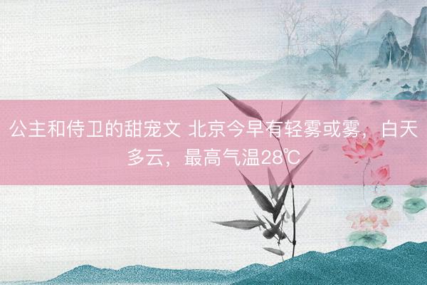 公主和侍卫的甜宠文 北京今早有轻雾或雾，白天多云，最高气温28℃