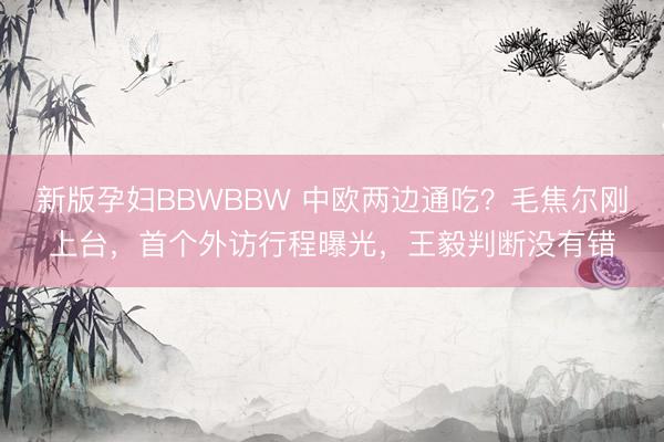 新版孕妇BBWBBW 中欧两边通吃？毛焦尔刚上台，首个外访行程曝光，王毅判断没有错