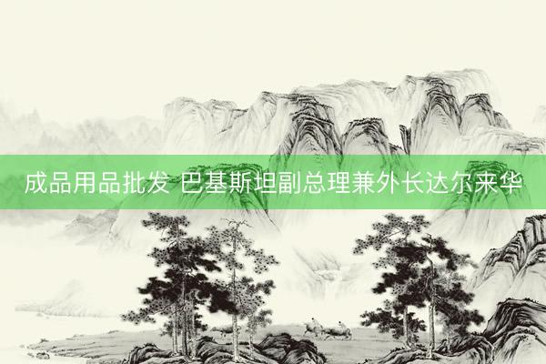 成品用品批发 巴基斯坦副总理兼外长达尔来华