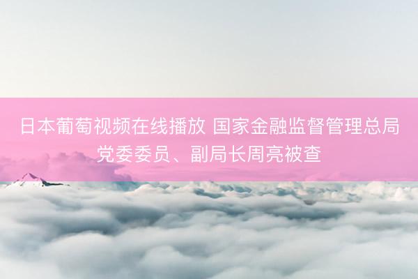 日本葡萄视频在线播放 国家金融监督管理总局党委委员、副局长周亮被查
