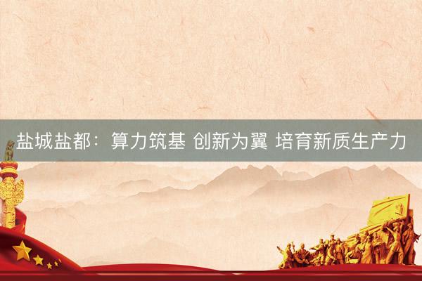 盐城盐都:算力筑基 创新为翼 培育新质生产力