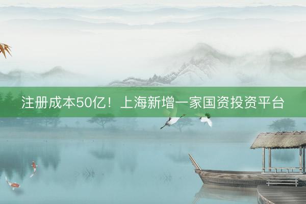 注册成本50亿！上海新增一家国资投资平台