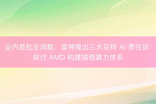业内首批全消散：雷神推出三大花样 AI 责任站 探讨 AMD 构建端侧算力体系