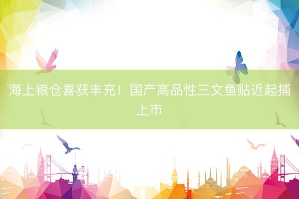 海上粮仓喜获丰充！国产高品性三文鱼贴近起捕上市