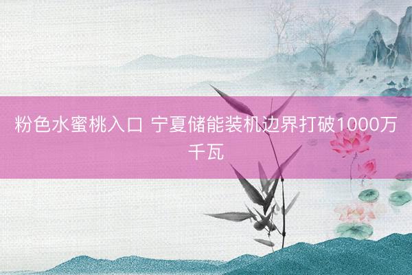 粉色水蜜桃入口 宁夏储能装机边界打破1000万千瓦