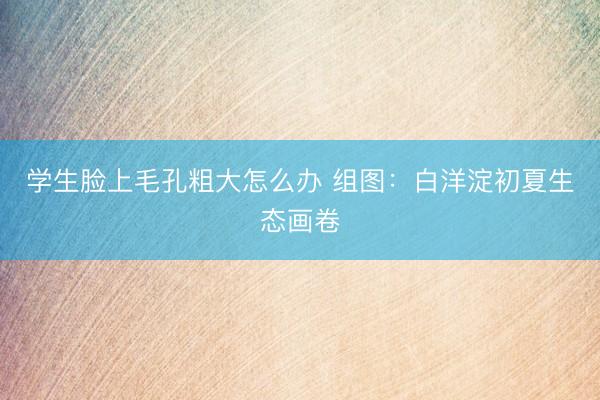 学生脸上毛孔粗大怎么办 组图：白洋淀初夏生态画卷