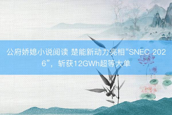 公府娇媳小说阅读 楚能新动力亮相“SNEC 2026”，斩获12GWh超等大单