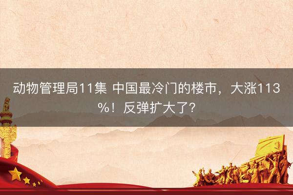 动物管理局11集 中国最冷门的楼市，大涨113%！反弹扩大了？