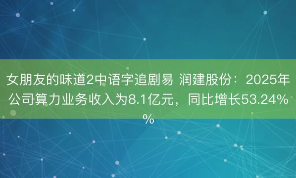 女朋友的味道2中语字追剧易 润建股份：2025年公司算力业务收入为8.1亿元，同比增长53.24%
