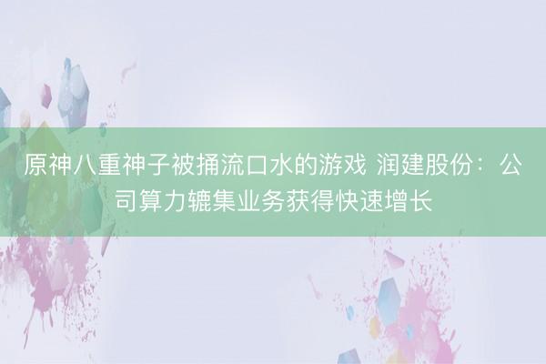 原神八重神子被捅流口水的游戏 润建股份：公司算力辘集业务获得快速增长