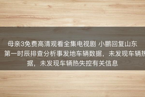 母亲3免费高清观看全集电视剧 小鹏回复山东平度车辆活气：第一时辰排查分析事发地车辆数据，未发现车辆热失控有关信息