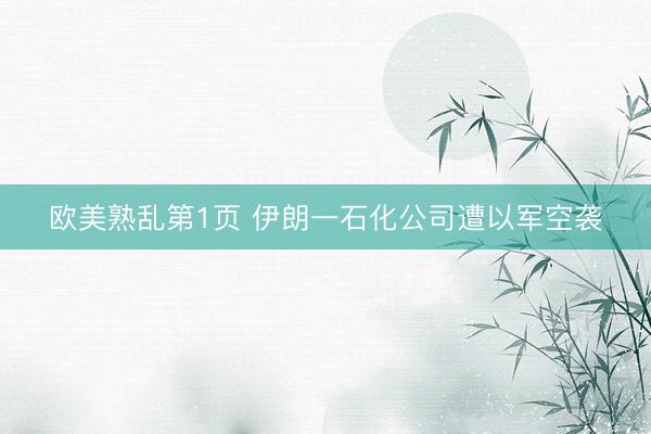 欧美熟乱第1页 伊朗一石化公司遭以军空袭
