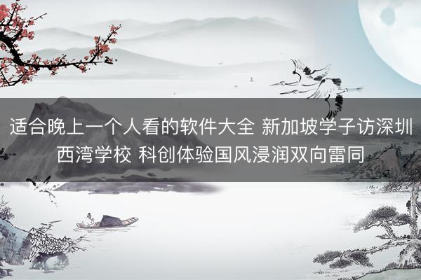 适合晚上一个人看的软件大全 新加坡学子访深圳西湾学校 科创体验国风浸润双向雷同
