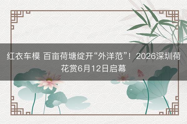 红衣车模 百亩荷塘绽开“外洋范”！2026深圳荷花赏6月12日启幕
