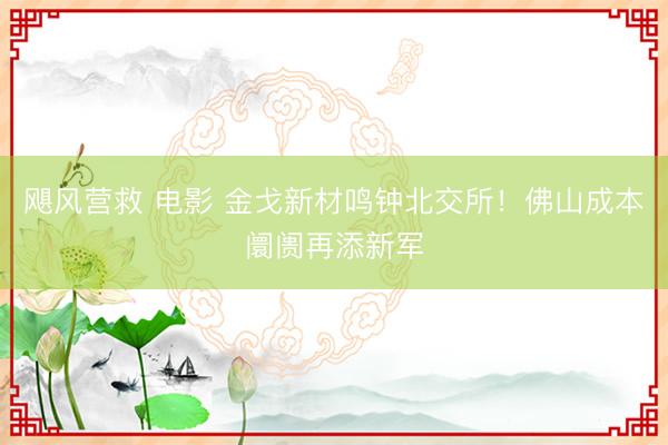 飓风营救 电影 金戈新材鸣钟北交所!佛山成本阛阓再添新军