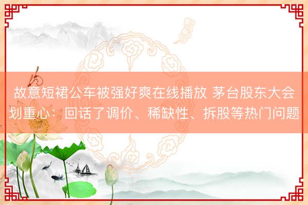 故意短裙公车被强好爽在线播放 茅台股东大会划重心：回话了调价、稀缺性、拆股等热门问题