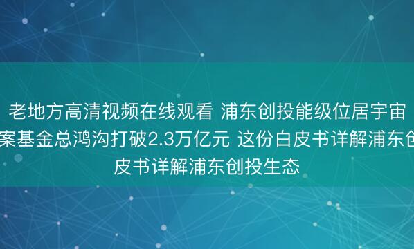 老地方高清视频在线观看 浦东创投能级位居宇宙前哨 备案基金总鸿沟打破2.3万亿元 这份白皮书详解浦东创投生态