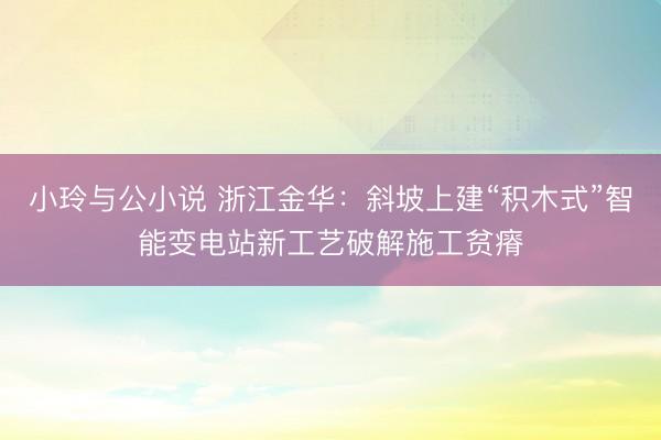 小玲与公小说 浙江金华：斜坡上建“积木式”智能变电站新工艺破解施工贫瘠