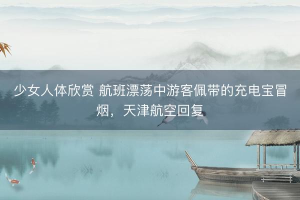 少女人体欣赏 航班漂荡中游客佩带的充电宝冒烟，天津航空回复