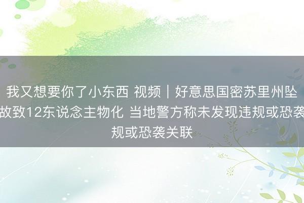 我又想要你了小东西 视频｜好意思国密苏里州坠机事故致12东说念主物化 当地警方称未发现违规或恐袭关联