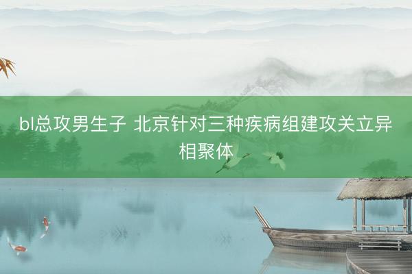 bl总攻男生子 北京针对三种疾病组建攻关立异相聚体