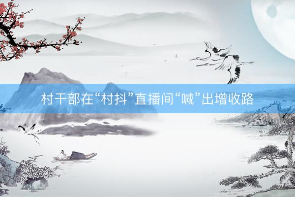 村干部在“村抖”直播间“喊”出增收路