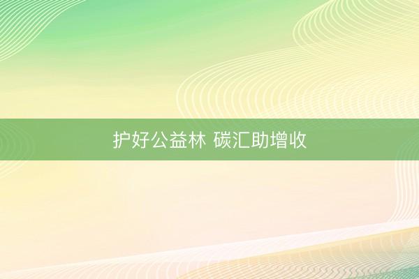 护好公益林 碳汇助增收