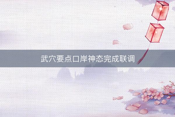 武穴要点口岸神态完成联调