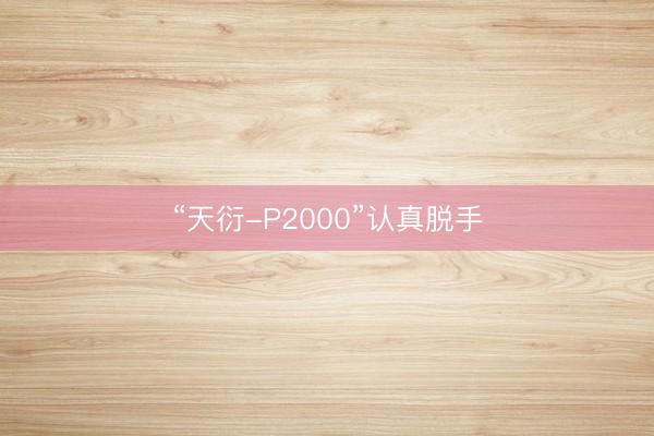 “天衍-P2000”认真脱手