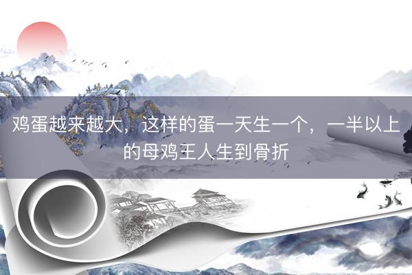 鸡蛋越来越大，这样的蛋一天生一个，一半以上的母鸡王人生到骨折
