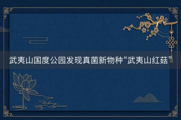 武夷山国度公园发现真菌新物种“武夷山红菇”